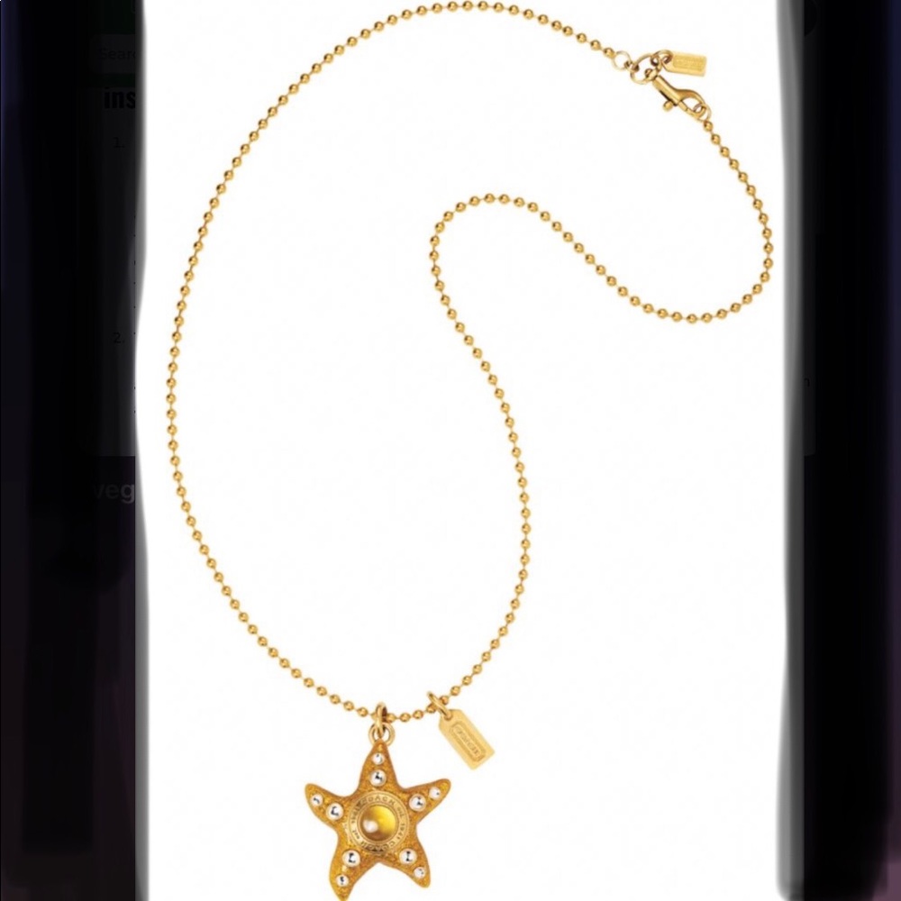 COPY - Coach starfish pendant necklace